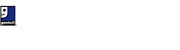 Goodwill 100th Anniversary Logo
