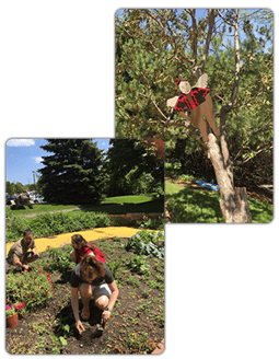  Life Skills Development and Day Services have taken over the responsibility of a large garden at the Center for Work and Training campus in Greendale.