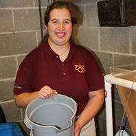 Mikayla's tasks included cleaning the cricket bins, harvesting and hatching brine-shrimp and preparing lizard and tortoise salads.